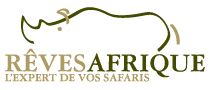 reves afrique